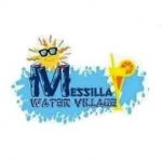 ���� ������� �������